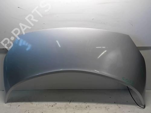 Panser RENAULT SCÉNIC II (JM0/1_) 1.6 (JM0C, JM0J, JM1B) (113 hp) 18211808