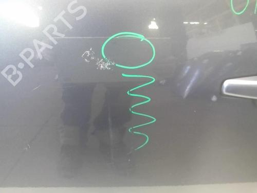 Left front door CITROËN C4 Picasso I MPV (UD_) 2.0 HDi 138 | BP18211116C2 