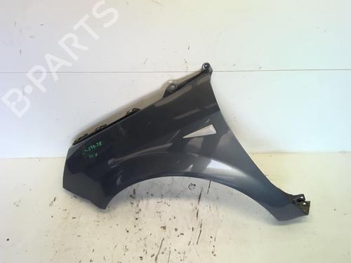 Left front fenders RENAULT GRAND SCÉNIC II (JM0/1_) 1.9 dCi (JM14) | BP18226475C41 