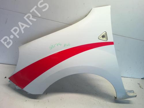 Left front fenders RENAULT KANGOO Express (FW0/1_) 1.5 dCi 70 (FW0A, KW0V) | BP18216281C41 