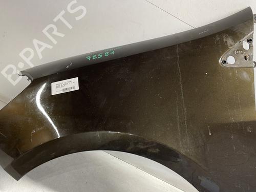Left front fenders RENAULT CLIO III (BR0/1, CR0/1) 1.4 16V | BP25346593C41