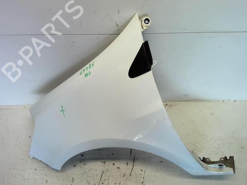 Left front fenders RENAULT CLIO III (BR0/1, CR0/1) 1.5 dCi | BP18212823C41 