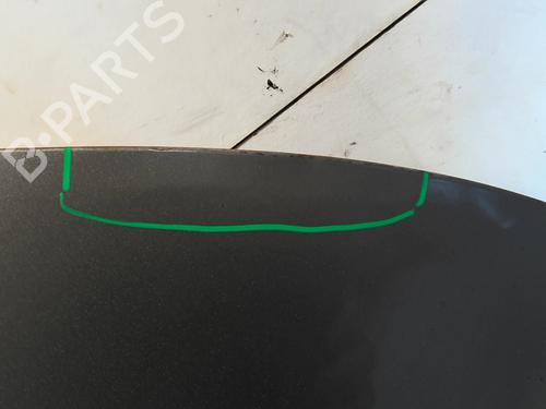 Left rear door RENAULT CLIO III (BR0/1, CR0/1) 1.5 dCi (BR17, CR17) | BP24590376C4 