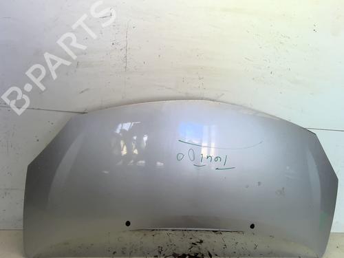 Hood RENAULT TWINGO II (CN0_) 1.2 16V (CN04, CN0B) | BP28494596C1 