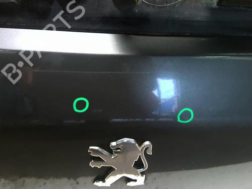 Tailgate PEUGEOT 3008 I MPV (0U_) 1.6 HDi | BP18230260C6 