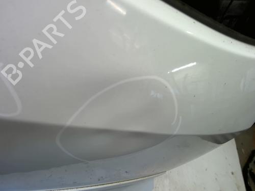 Tailgate RENAULT MODUS / GRAND MODUS (F/JP0_) 1.5 dCi (JP0G, JP0H) | BP29501445C6 