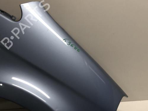 Right front fenders LANCIA MUSA (350_) 1.3 D Multijet (350.AXG11, 350.AXG1A) | BP18220591C42 