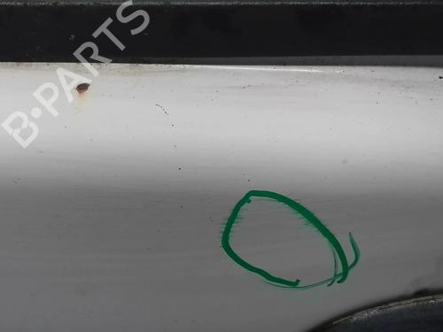 Left front door RENAULT KANGOO Express (FC0/1_) D 65 1.9 (FC0E, FC02, FC0J, FC0N) | BP18218429C2 