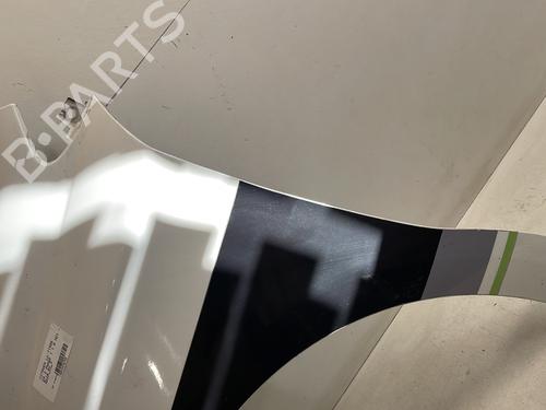 Left front fenders CITROËN C4 II (NC_) 1.6 HDi 90 | BP25276550C41 