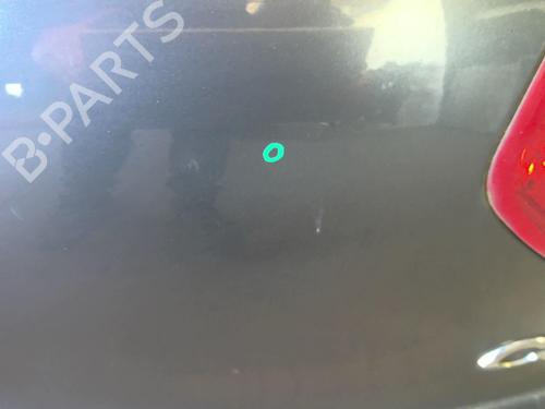 Tailgate CITROËN C4 Picasso I MPV (UD_) 1.6 HDi | BP18227315C6 