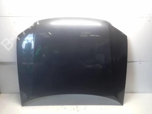 Used Hood VW PASSAT B5.5 (3B3) 1.9 TDI (130 hp) 18231692
