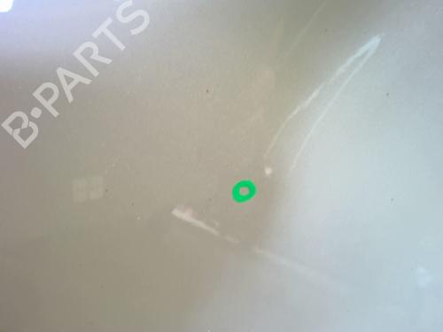 Left front door PEUGEOT BIPPER Tepee 1.3 HDi 75 | BP24394703C2 