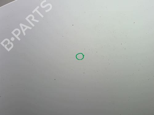 Hood CITROËN C3 II (SC_) 1.4 HDi 70 (SC8HZC, SC8HR0, SC8HP4) | BP18222746C1 
