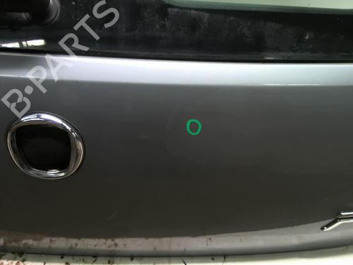 Tailgate FIAT GRANDE PUNTO (199_) 1.3 D Multijet | BP18207117C6 