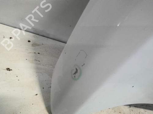 Hood PEUGEOT EXPERT Van (V_) 2.0 BlueHDi 120 | BP30902253C1