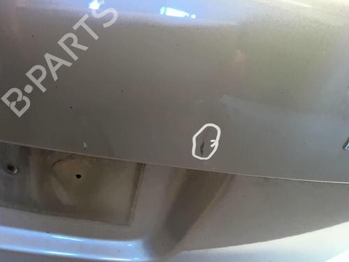 Tailgate SKODA FABIA II (542) 1.9 TDI | BP20300721C6 