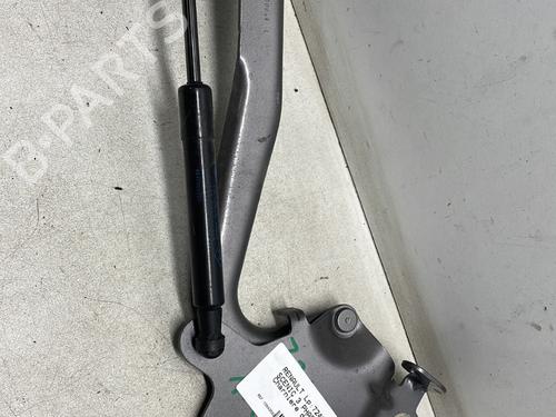 Used Hinge/Door check strap RENAULT SCÉNIC III (JZ0/1_) 1.5 dCi (110 hp) 26156605