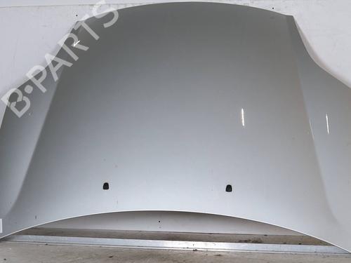 Used Hood FIAT BRAVO II (198_) 1.4 LPG (198AXA1B) (90 hp) 30261042