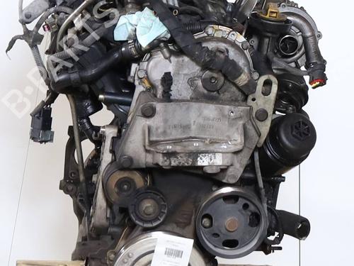 Engine FIAT PUNTO EVO (199_) 1.3 D Multijet (199AXC1A, 199BXC1A, 199AXT1A, 199BXT1A) | BP36693680M1  - Image 5