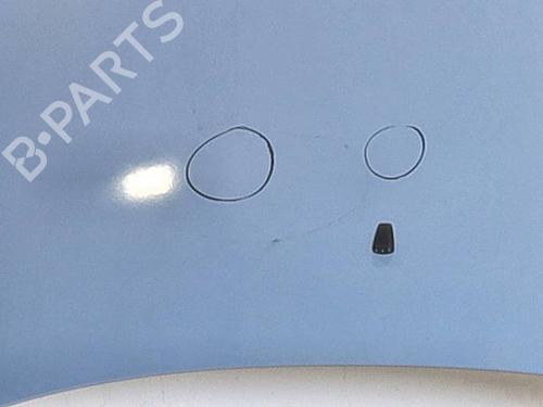 Used Hood FIAT SEICENTO / 600 (187_) 1.1 (187AXB, 187AXB1A, 187AXC1A02) (54 hp) 29186525