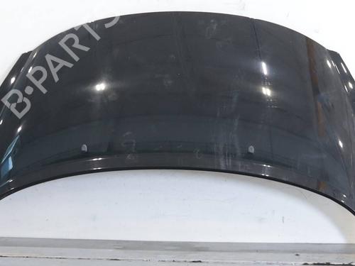 hood-peugeot-207-wa_-wc_-2006-2007-2008-2009-2010-2011-2012-2013-2014-2015-31941895 main image