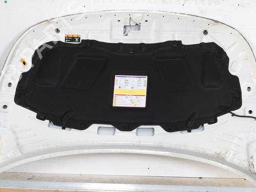 Hood FIAT TIPO Estate (356_, 357_) 1.4 (356WXA1B) | BP23218099C1