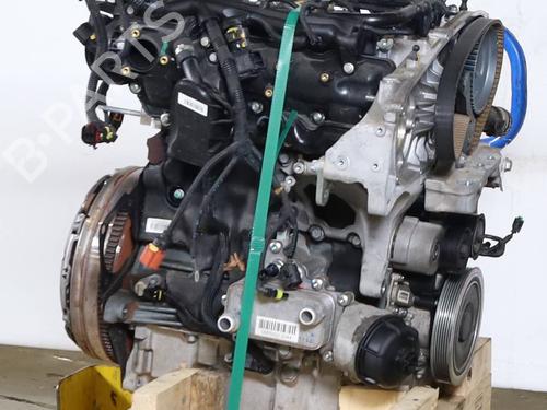 Used Engine Engine 36797844 36797844