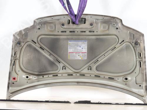 Hood FIAT PANDA (169_) 1.2 (169.AXB11, 169.AXB1A) | BP29826633C1