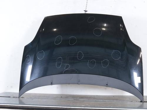 Used Hood Hood FIAT GRANDE PUNTO (199_) 1.2 (65 hp) 33734263 33734263