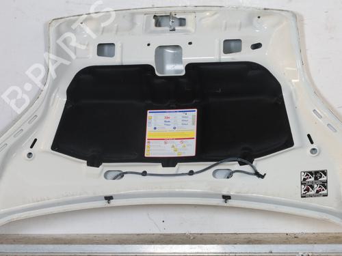 Hood FIAT FIORINO Box Body/MPV (225_) 1.4 Natural Power (225BXC1A, 225AXC1A) | BP27337892C1 
