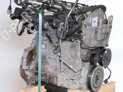 Engine FIAT PANDA (312_, 319_) 1.3 D Multijet (312PXL1A) | BP27703486M1 