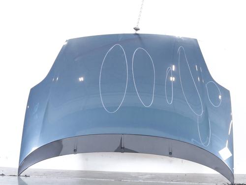 Used Hood Hood FIAT GRANDE PUNTO (199_) 1.2 (65 hp) 33616018 33616018