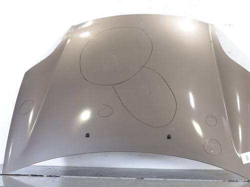 hood-fiat-bravo-ii-198_-2006-2007-2008-2009-2010-2011-2012-2013-2014-2015-2016-31793504 main image