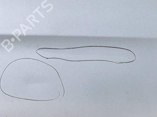 Used Left rear door FIAT PUNTO (188_) 1.2 60 (188.030, .050, .130, .150, .230, .250) (60 hp) 29481043