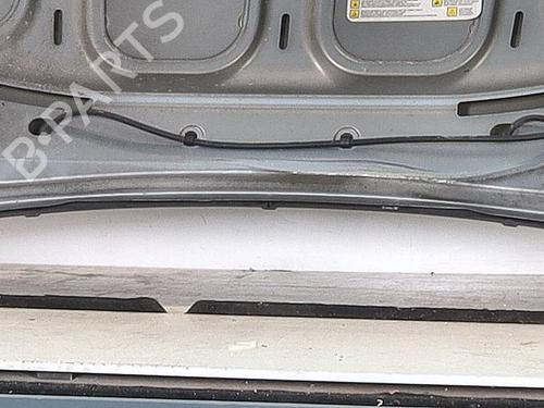 Used Hood FIAT GRANDE PUNTO (199_) 1.2 (65 hp) 29041088
