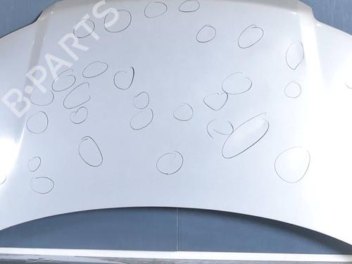 Hood FIAT PANDA (169_) 1.1 (169.AXA1A) | BP30931132C1