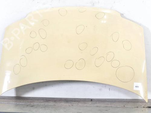 Used Hood Hood FIAT PANDA (169_) 1.2 (169.AXB11, 169.AXB1A) (60 hp) 33734124 33734124