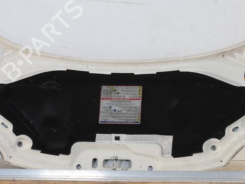 Hood FIAT 500 (312_) 0.9 (312AXG1A, 312.AXG11) | BP23441033C1