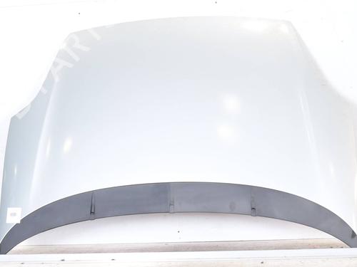 Used Hood FIAT GRANDE PUNTO (199_) 1.3 D Multijet (75 hp) 25813481