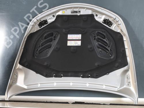 Hood ALFA ROMEO STELVIO (949_) 2.9 Q4 (949.AXG2A, 949.AXH2A, 949.AXS2A) | BP29826738C1