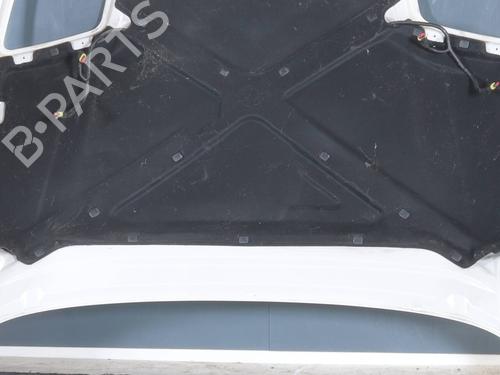 Used Hood FIAT COUPE (175_) 2.0 20V Turbo (220 hp) 30360889