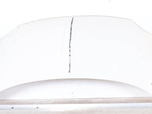 Used Hood FIAT 500 (312_) 1.2 (312AXA1A) (69 hp) 25813482