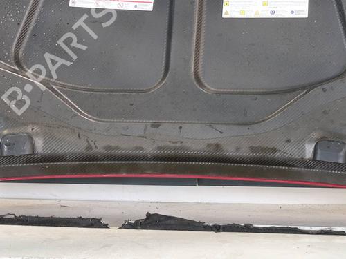 Used Hood ALFA ROMEO GIULIA (952_) 2.9 Quadrifoglio (952AAM24) (510 hp) 29826795
