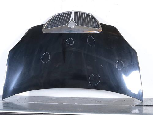 Used Hood Hood LANCIA MUSA (350_) 1.3 D Multijet (350.AXB11, 350.AXB1A) (70 hp) 33284721 33284721