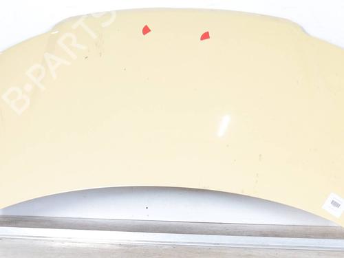 Used Hood FIAT PANDA (169_) 1.3 D Multijet (169.AXC1A) (70 hp) 24954329