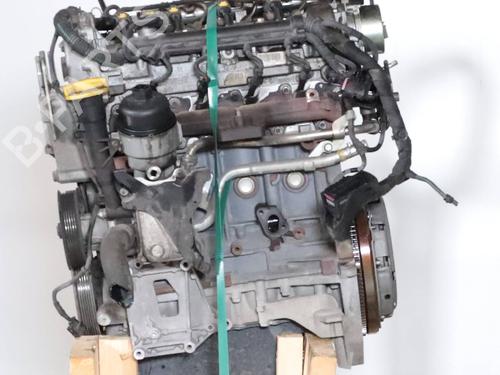 Engine FIAT PANDA (312_, 319_) 1.3 D Multijet (312PXL1A) | BP27703486M1 