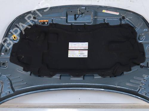 Hood FIAT TIPO Saloon (356_, 357_) 1.0 (357SXN1A) | BP23505198C1 