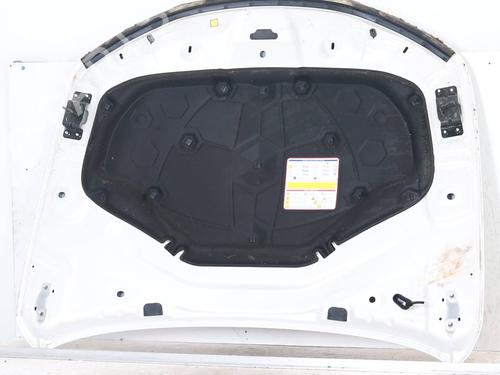 Hood ALFA ROMEO GIULIA (952_) 2.2 D (952AFA25, 952AFM25, 952ALA25) | BP26709726C1 