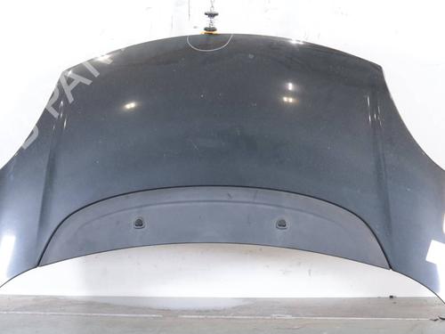 hood-fiat-500l-351_-352_-2012-36013381 main image