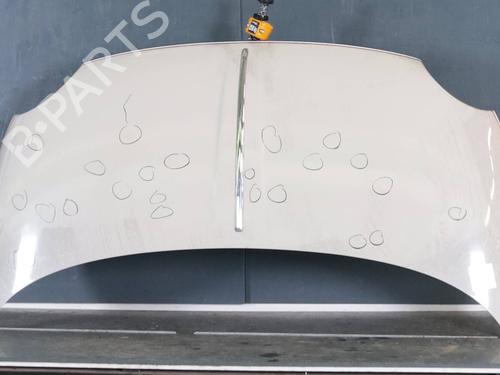 hood-fiat-500-312_-2007-37516279 main image
